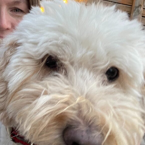 Meet your Posher, Cheryl - Picture 1 of 2